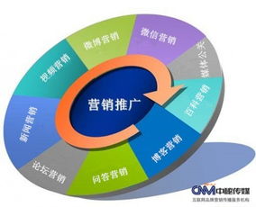 全鏈路網(wǎng)絡(luò)營(yíng)銷 從策劃到執(zhí)行的整合之道